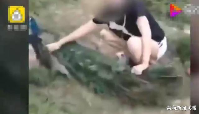 「」女游客为哄女儿开心，按住孔雀合影拔毛，两天后孔雀“疼死”