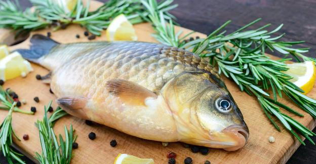 【饵料】夏季野钓,又有几招教你快速钓获大板鲫