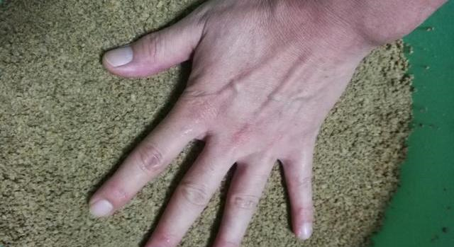 氨基酸@啤酒不是开饵水，开瓶就加要不得，详解啤酒钓鱼的3种用法