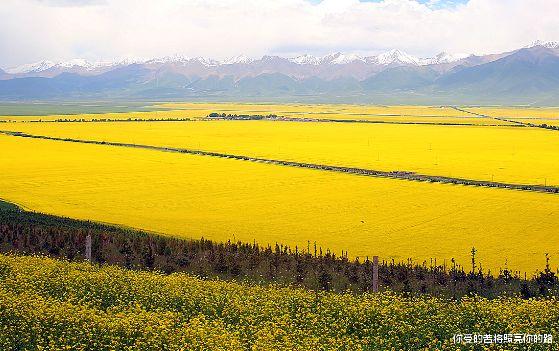 运势|9月1号开始,4属相喜鹊登门报喜,升职加薪,遇真爱,生活美满