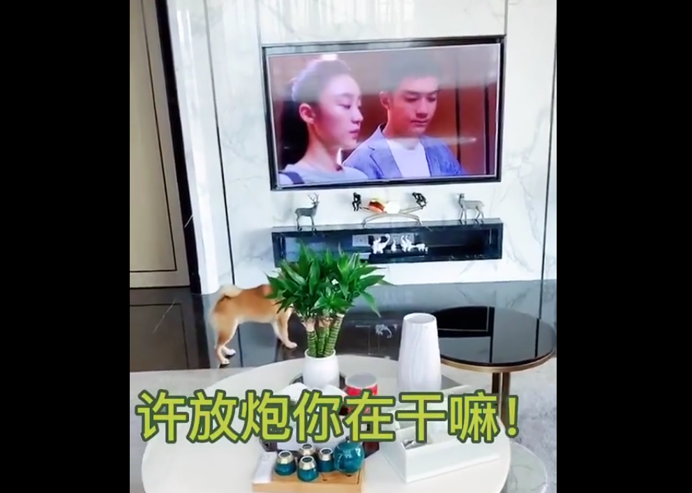 三十而已|现象级电视剧!全网都在等许幻山“淹死”,狗都急眼了!