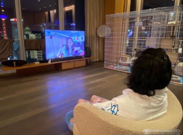 「Angelababy」baby晒照罕见曝光豪宅！东方明珠近在咫尺，客厅大到能安装滑滑梯