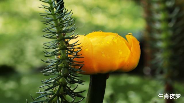 【渴·望】4月底，兜兜转转，旧情人回归，3生肖喜得旧爱，再次携手相爱到底