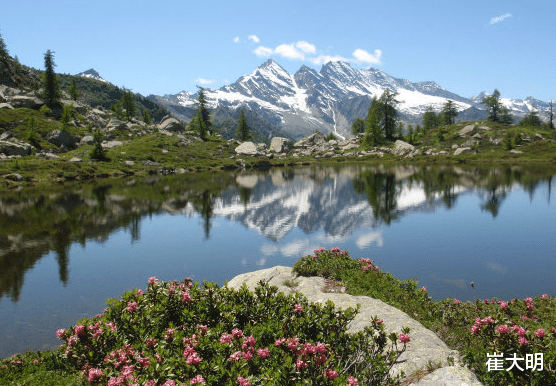 『』7月1号开始，4属相好运常伴身边，事业蒸蒸日上，财气满满