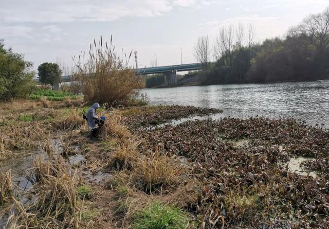 【】在野钓水域中，选好钓位尤为重要