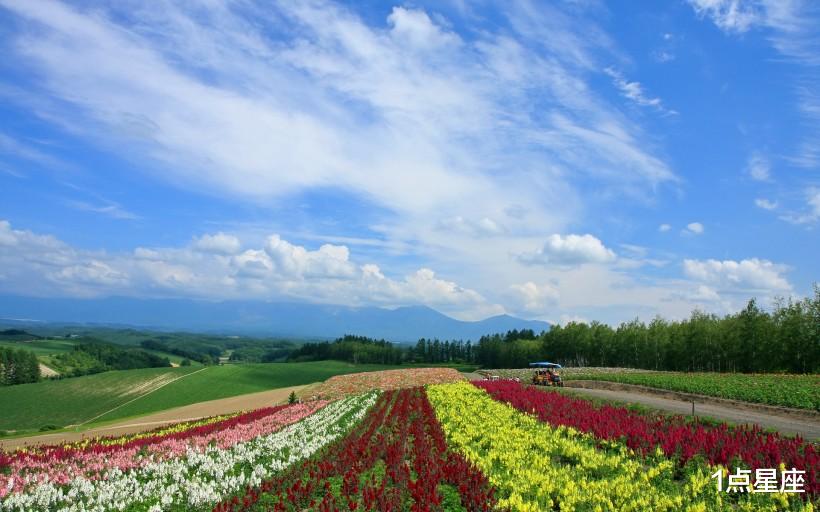 射手女：霉运散去、喜从天降的星座，好运连连，万事顺遂