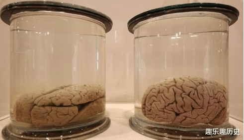 |史上最锋利的刀，没有它切不开的物质，想不到是用这个东西做成的