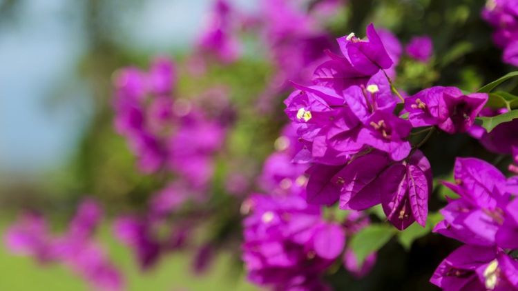 旧爱|10月，前缘奇袭，旧爱回头来认错，同意复合重新开始的4大星座