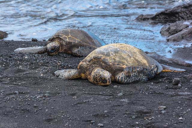 |冬季路亚别一味钓深水,这四个位置很藏鱼,几分钟就上鱼