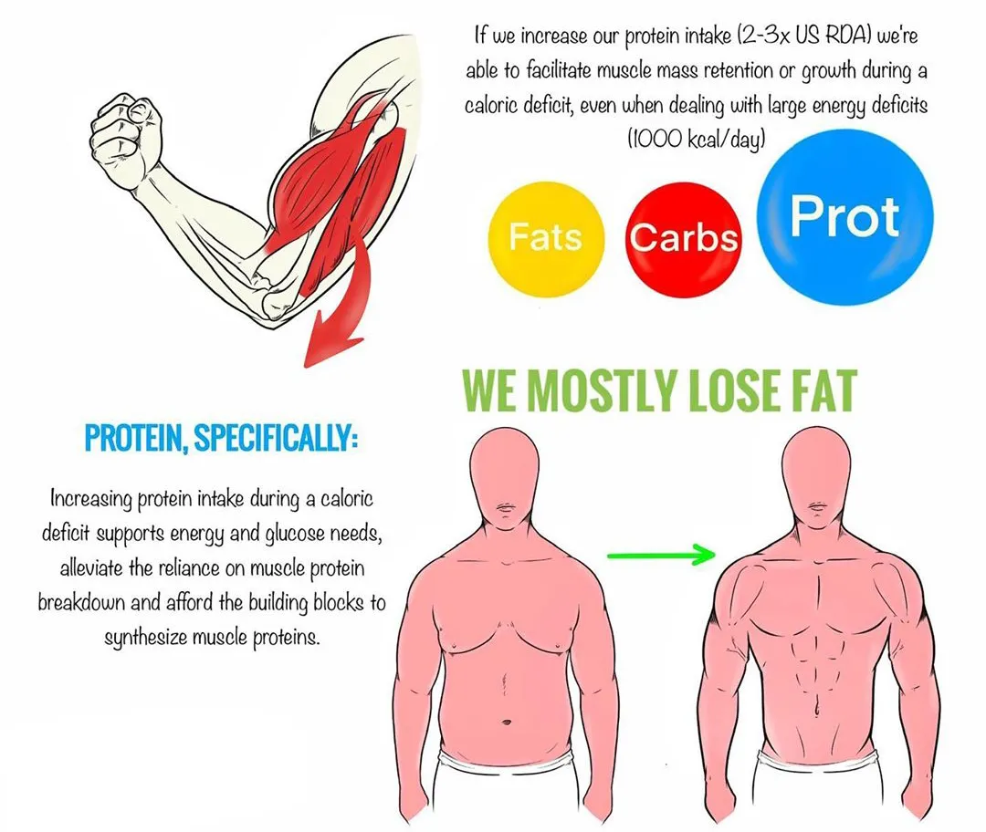 减脂|减这么久了，你怎么还是胖？