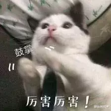唐嫣|她真打算装傻白甜到退休啊……