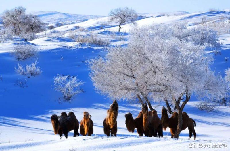 |被称为“世界上最冷的首都”,乌兰巴托有多冷?