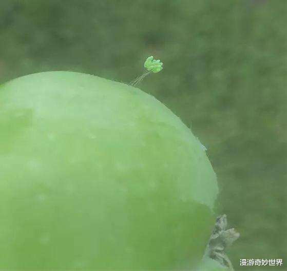 []网络有多恐怖？你问什么，万能的网友都能解答！