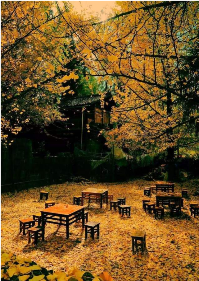 长白山|中国“秋天”最美的10个景区,个个都美如画