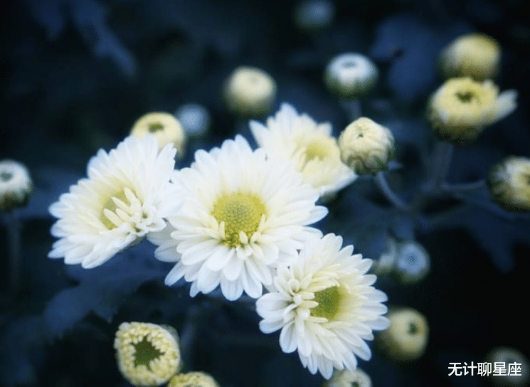 「天秤座」未来5个月将在职场纵横的4个星座，梦想照进现实，事业高升