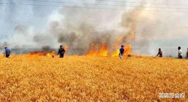 美国▲美国烧了叙利亚两万公顷的小麦，国际上有什么反应吗？