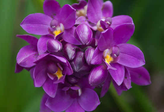 「天蝎座」未来5天有好运,4属相事业一帆风顺,日子甜甜蜜蜜,如鱼得水