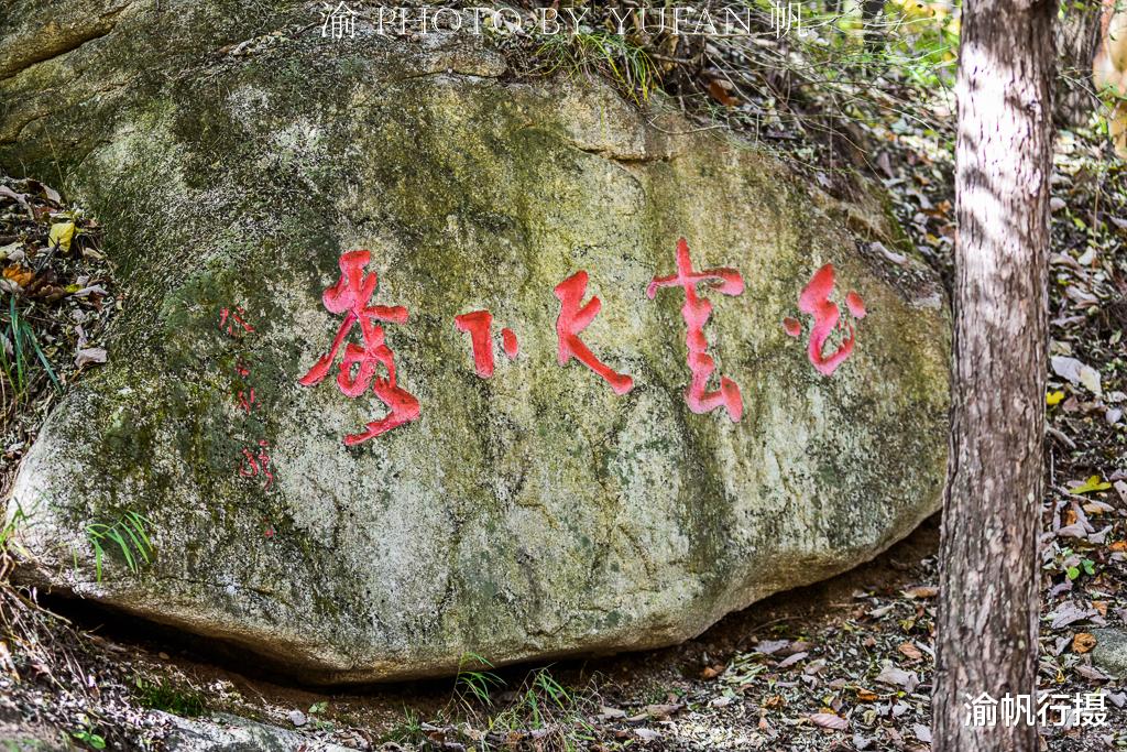 |中原最高峰下有片作家题词林，大伽云集龙飞凤舞，唯方芳的最特别