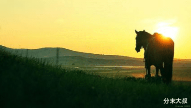 [电视剧]“因一个演员被毁”的4部电视剧，你若一部未看过，那就太幸运了