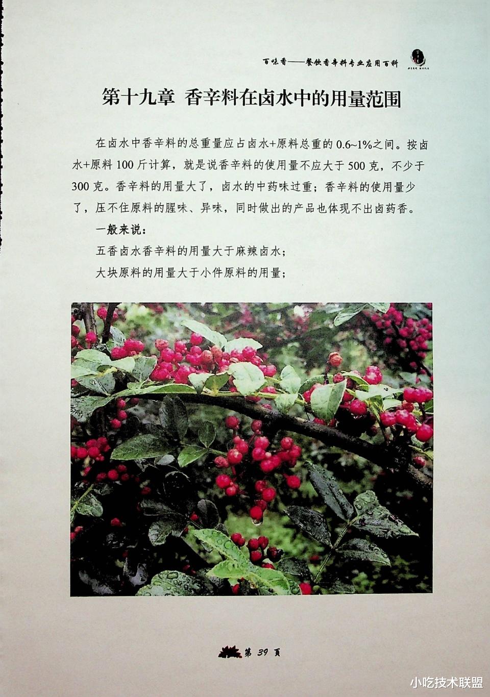 卤菜|香辛料专业理论知识，让你全面了解香辛料应用，卤菜师傅的宝典