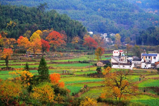 胡杨林|再过30天，全世界都要羡慕死中国了