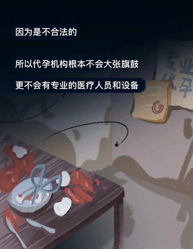 郑爽|为郑爽代孕的那个女子还好吗？