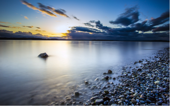 ：爬了三亿年才“上岸”，刚“上岸”就被人吃了，网友：真可怜