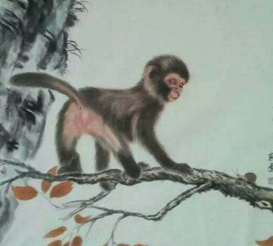 【】猴你一生的贵人出现了, 喜上加喜, 带你转运了