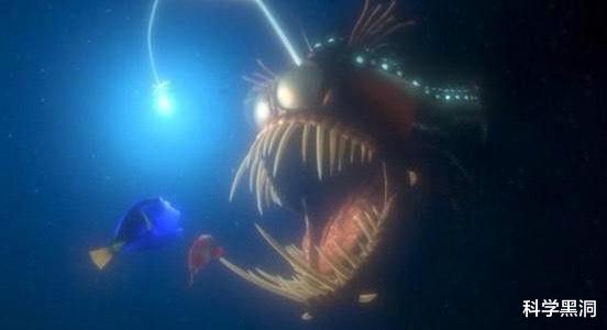 后代|绝佳的繁殖策略，把软饭吃到极致，最后变成配偶的“器官”