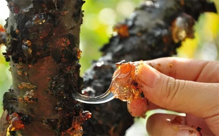 「乳腺增生」乳腺增生的“祸首”找到了,医生提醒:3物请趁早拉入黑名单