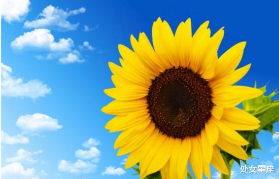 『吉星』天降3喜的3大生肖,财运亨通,财富不断找上门!