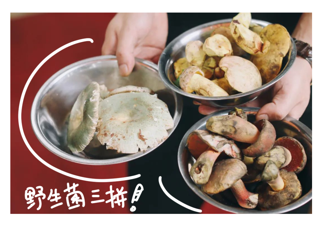 云南|我去了趟云南，当地人给我炖了一锅毒菌子