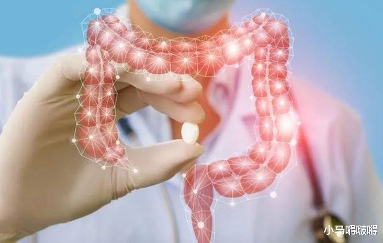 膳食纤维：48岁夫妻俩，相继查出肠癌，餐桌上的这种“菜”，劝你尽量少吃