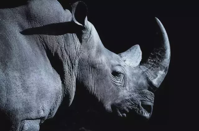 文玩▲文玩界“一红二黑三白”， 这是禁忌更是底线！