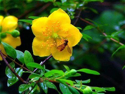 生肖|进入8月下旬，此3大生肖好运连连，事业蒸蒸日上，成功熬出头