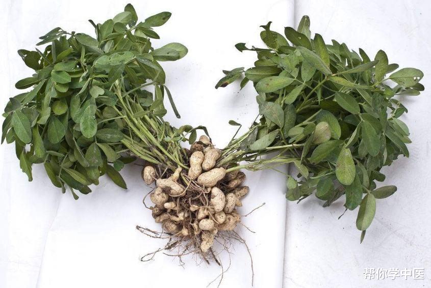 失眠|失眠,就是阳不入阴!最巧催眠方,把阳气引下来,该睡就睡