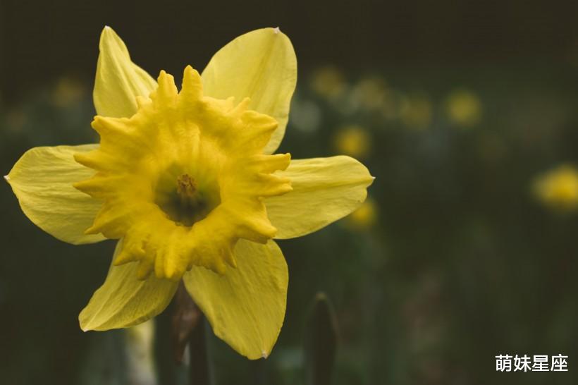 生肖|11月中旬，4生肖有财神临门，财运大开，赚到大笔钱财，存款暴涨