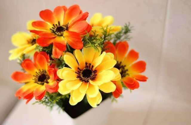 进门处万万别摆这些东西, 暗喻越住越穷, 中招的赶紧改过来