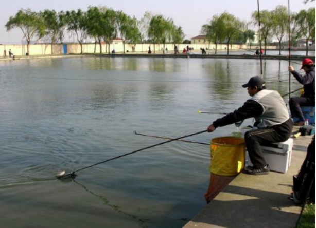 |钓鱼人被拘留，问题出在鱼钩上，新规定禁止使用串钩