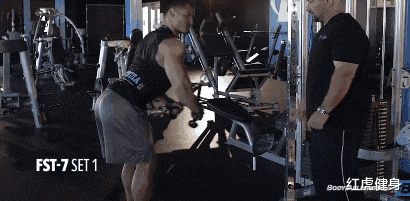 哈迪|亚洲巨兽“波斯狼”哈迪，坦克背的训练方法