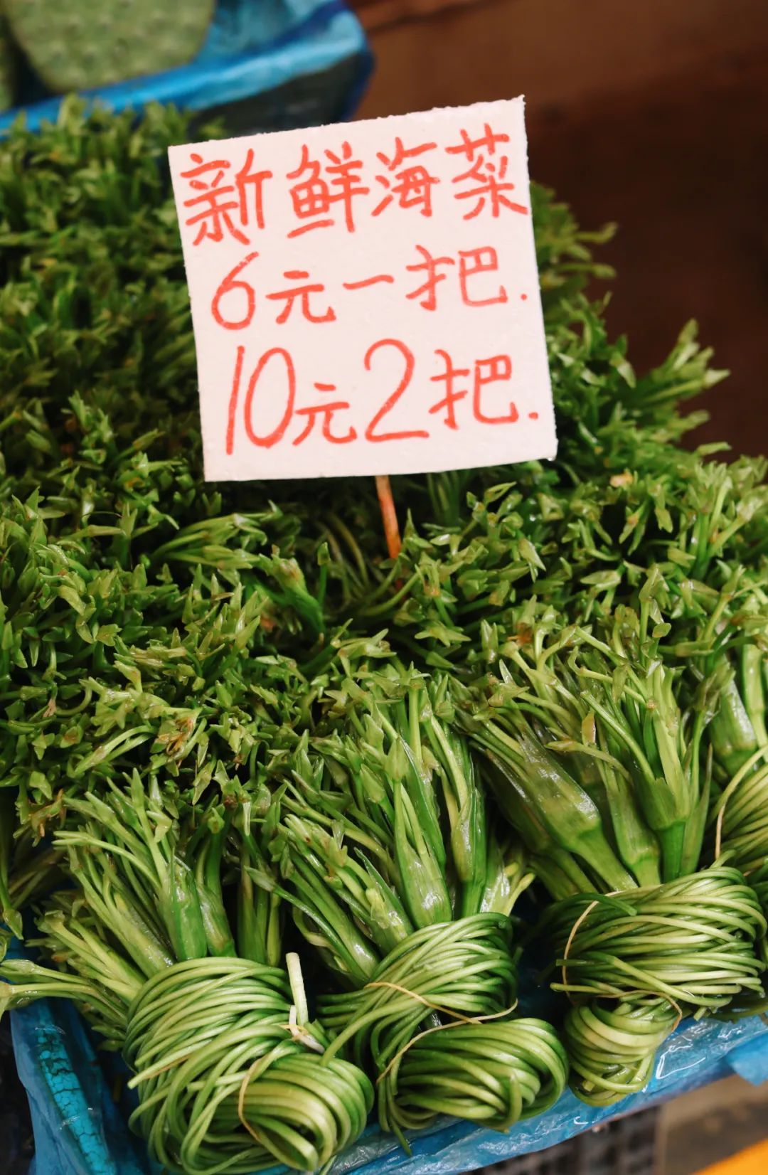 云南|我去了趟云南，当地人给我炖了一锅毒菌子