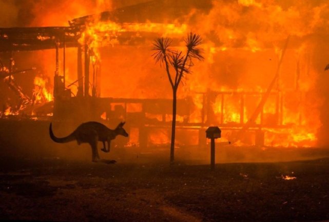 澳大利亞大火影響至今，遭五眼聯盟冷落？莫裡森：新西蘭也沒有-圖2