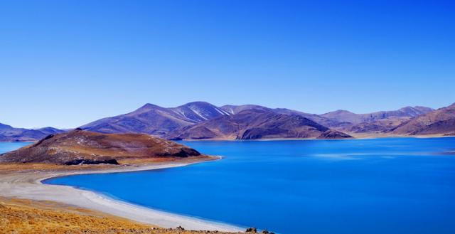 生肖|8月，喜鹊枝头叫，财运一路攀升，4生肖财利兼得，喜事接2连3来到