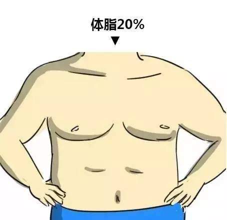 :如何把体脂率减到可以看见六块腹肌?