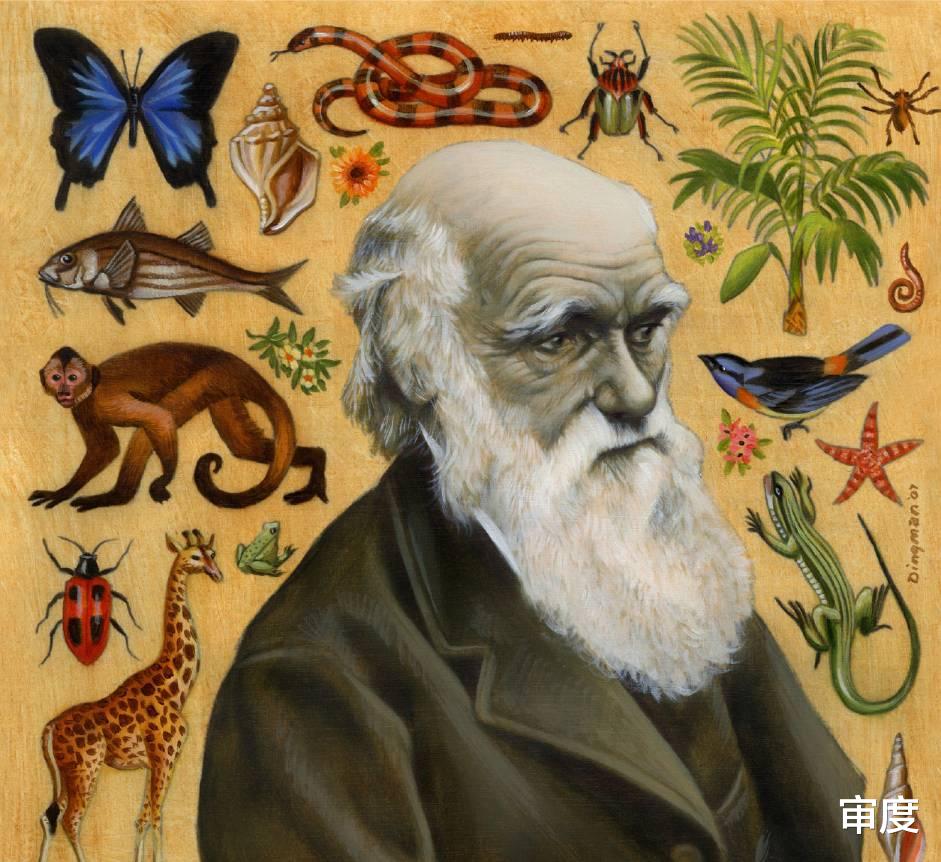 人类进化史也是一部灭绝史:北京猿人惨遭屠杀,还被当成食物
