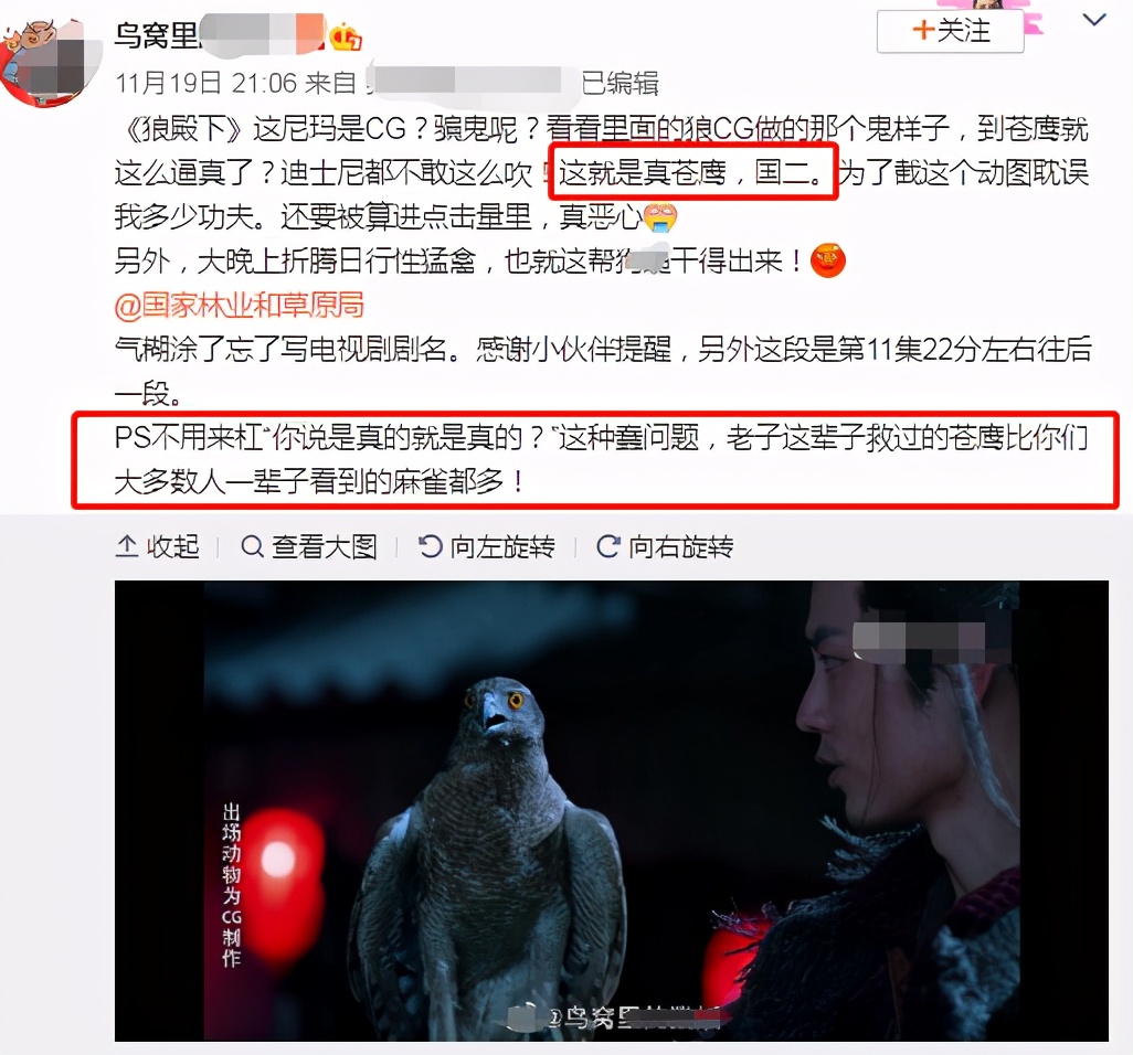 肖战|肖战新剧翻车！疑用国家二级保护动物冒充CG，专业人士出面打脸
