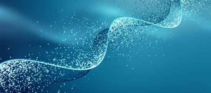 中国建材报 多家防水企业牛年开新局