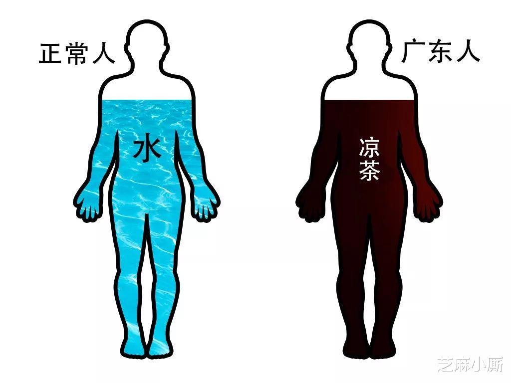 茶文化■中国夏日必备的凉茶，如今火到了国外，还在美国建了个凉茶博物馆