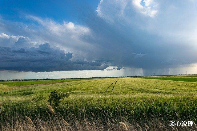 摩羯座▲20天后，莺飞草长，此情未央，3星座历尽千帆，执手旧爱永不忘