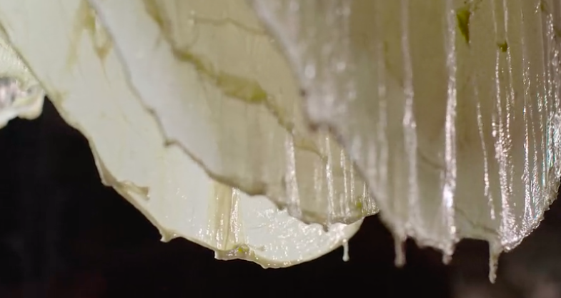 东莞▲《舌尖上的中国》团队又出顶级新片,一集就馋哭我!